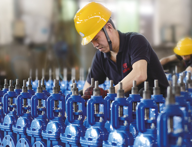 溫州市龍灣區(qū)閥門行業(yè)協(xié)會(huì)2018新春團(tuán)拜會(huì)暨四屆四次理事大會(huì)